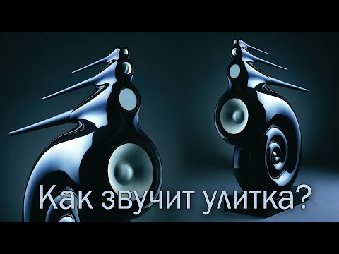 Видео: Наутилус. Что даёт улитка?