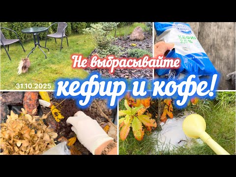 Видео: Не выбрасывайте кефир и кофе! Мощнейшие удобрения для сада даром.