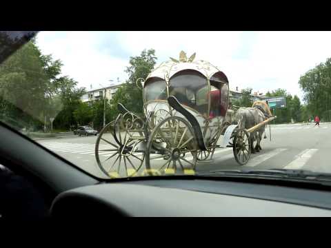 Видео: КАРЕТА КОНЬ