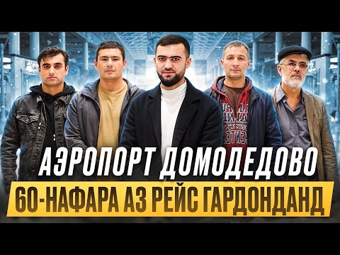 Видео: Аэропорт Домодедово / 60-Нафара Аз Рейс Гардонданд / Тафтиши Ҳуҷҷат / 19.10.2024 Абдулло Тч