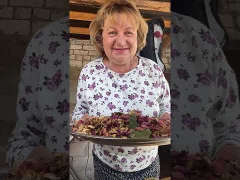 Видео: Роза для здоровья Мой чердак
