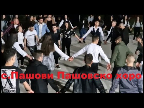 Видео: 4К Музика с.Пашови 2023-06-03 / орк.Диамант - Пашовско Хоро