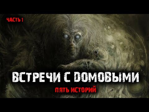 Видео: Встречи с домовыми (5в1) Выпуск №1.
