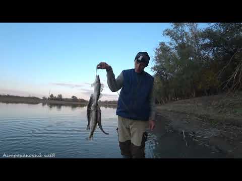 Видео: САМОДЕЛЬНАЯ МАНДУЛА РАБОТАЕТ. Осенняя рыбалка в тишине. Ловля судака на джиг, рыбалка на спиннинг.