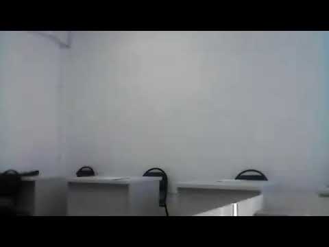 Видео: Лингвистика олимпиадасы