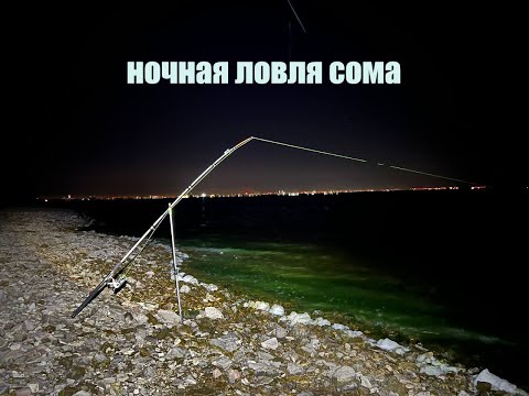 Видео: Незабываемая рыбалка на Волге. Ловля сома с берега