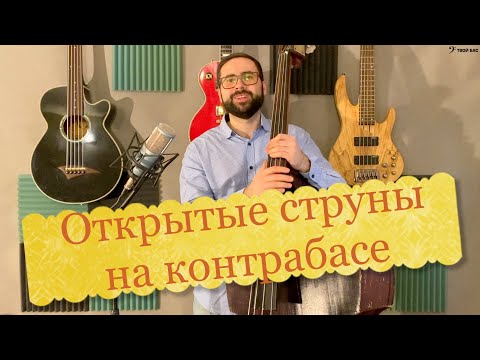 Видео: Использование открытых струн при игре на контрабасе
