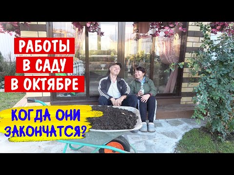 Видео: Хочешь - не хочешь... ДЕЛАЙ! Работы в саду в октябре. Надо всё успеть!