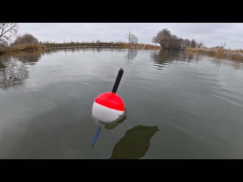 Видео: РЫБАЛКА НА ХИЩНЫЙ ПОПЛАВОК! Ловля щуки на маховую удочку. Давно так не рыбачил!