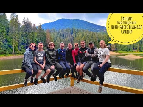 Видео: Похід в Карпати | Реабілітаційний цент Бурого ведмедя | Озеро Синевір | Вересень 2022