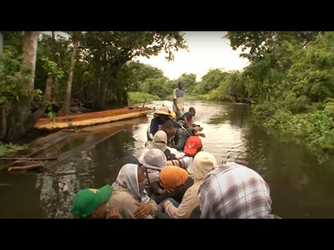 Видео: Панама: зеленый ад - дороги невозможного