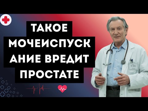 Видео: Уролог объясняет: такое мочеиспускание вредит простате