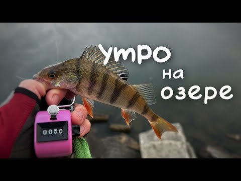 Видео: Оторвался по окуню!