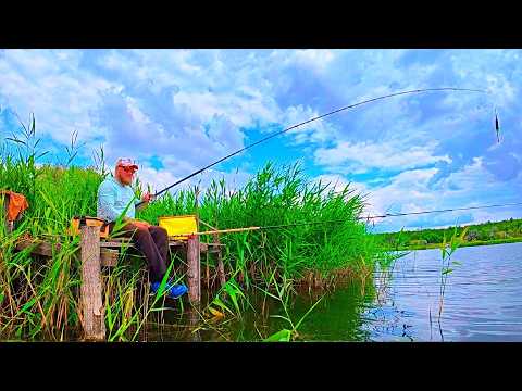 Видео: ЛОВЛЮ КАРАСІВ НА ПОПЛАВОК З МОСТІКА ЯК В ДИТИНСТВІ. Рибалка родом з дитинства