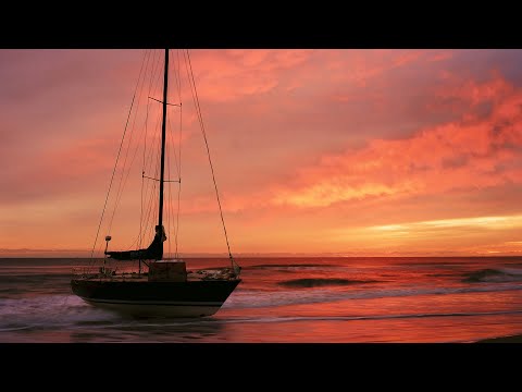 Видео: Неделя пленочной фотографии на Внешних отмелях