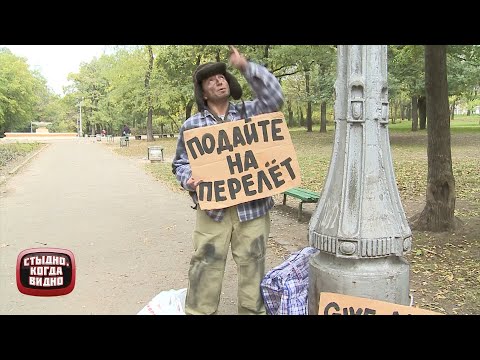 Видео: Подайте на перелет! Смешной и еще смешнее