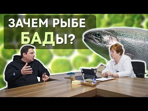 Видео: Зачем рыбе БАДы?