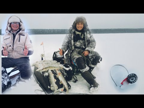 Видео: 16.12.23г Лесное озеро. Ловля на жерлицы, живец сорожка и карась.