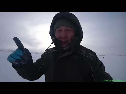 Видео: Рыбалка на судака на Вячеславском водохранилище!