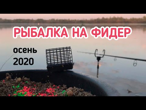 Видео: Рыбалка на фидер теплой осенью 2020. Река Иртыш. Омская рыбалка — #OmskFish