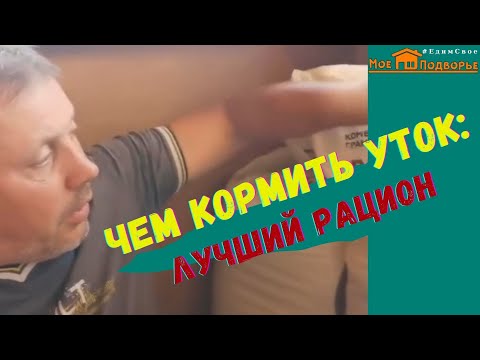 Видео: Супер корм для уток. "Мое Подворье"