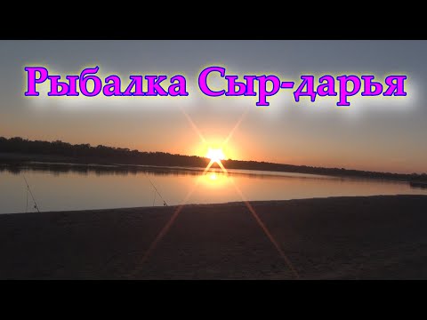 Видео: Река Сыр-Дарья. Рыбалка Сырдарья 2020. Отдых на природе. Ловим сазана.Часть 1.