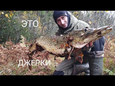 Видео: ЭТО САМАЯ КРУПНАЯ ЩУКА В МОЕЙ ЖИЗНИ!!! Щука на джерки, рыбалка в Беларуси!