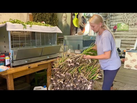 Видео: ЖИЗНЬ НА 30 СОТКАХ В ДЕРЕВНЕ/СТРОИМ КУРЯТНИК,УТЕПЛЯЕМ ПРИСТРОЙ И ВЕДЕМ ХОЗЯЙСТВО 