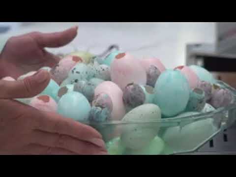 Видео: Пасхальный Флористический Мастер-Класс Марины Петровой и Анастасии Шехериной🐣 Часть 1🌿