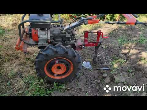 Видео: Мотоблок Weima 1050 проти Мотоблока Husgvarna TF 545 P копаємо картоплю сорт тайфун. 💪💪💪