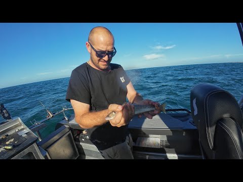 Видео: Happy Fisherman EP118 PPB король Джордж Уайтинг в 9 м