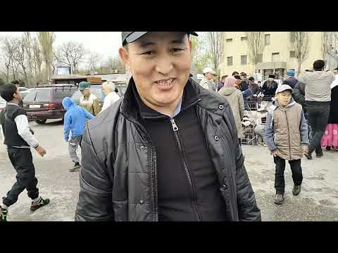 Видео: 3 бөлім толық нұсқа, Ешкі көрмесі Шымкент қаласы 21.03.2023жыл