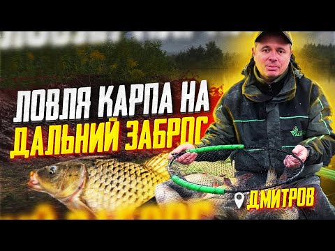 Видео: ЛОВЛЯ КАРПА ОСЕНЬЮ НА ПОПЛАВОК