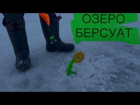 Видео: СУДАК НА ЖЕРЛИЦЫ НА ЖИВЦА! РЫБАЛКА В ЯНВАРЕ 2025г!