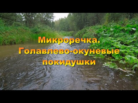 Видео: Микроречка. Голавлево-окуневые покидушки