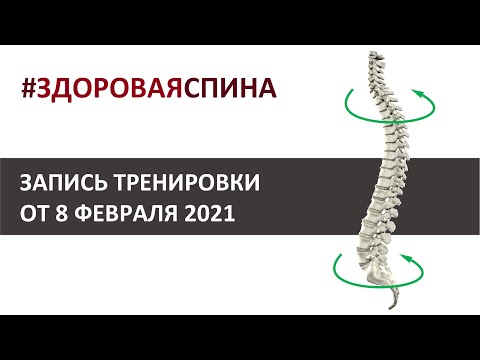 Видео: Здоровая спина - запись тренировки от 8 февраля 2022