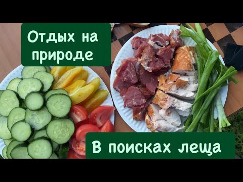 Видео: Отдых с друзьями,рыбалка на реке #рыбалка #отдыхнаприроде #отдых 
