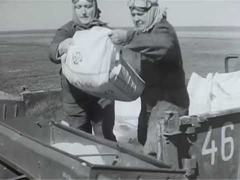 Видео: В совхозе  Кулундинский - док . фильм