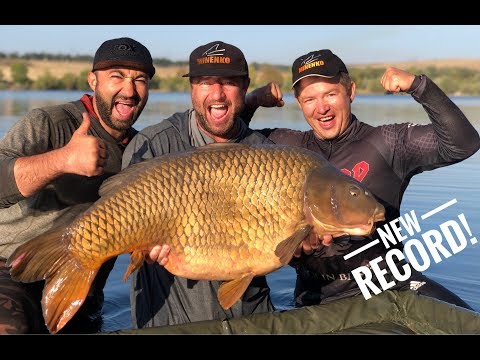 Видео: ОГРОМНЫЙ КАРП 26кг !!! Рекорд MINENKO TEAM! (13+)