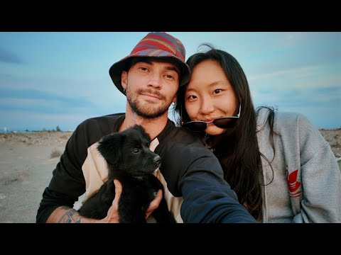 Видео: Сложности путешествия с собакой и девушкой.