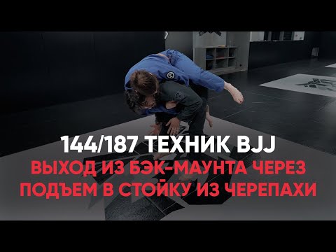 Видео: Выход из бэк маунта через подъем в стойку из черепахи