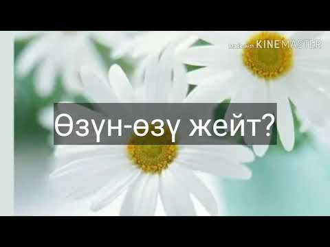 Видео: Логикалык суроолор 2020