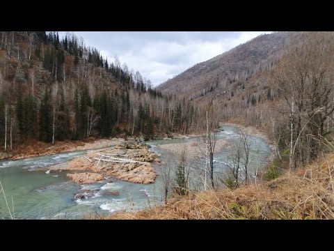 Видео: Село Староверов 8 Марта  Восточный Казахстан Ермолаевка Розовый Камень Пороги Убы Щучья Дыра