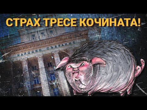 Видео: ЖИВЕЕ ЛИ ПЕЕВСКИ В ПАРЛАМЕНТА И ЗАЩО ВЪЗРАЖДАНЕ ГЛАСУВА ЗАЕДНО С ГЕРБ И ДПС