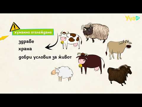 Видео: CAP4US: Биологично земеделие