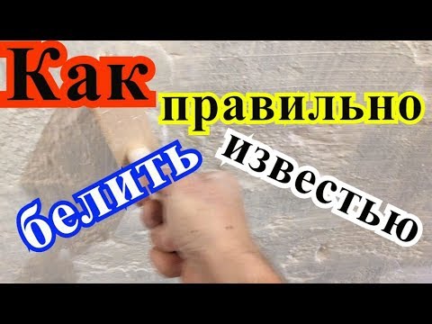 Видео: Как #правильно белить известью