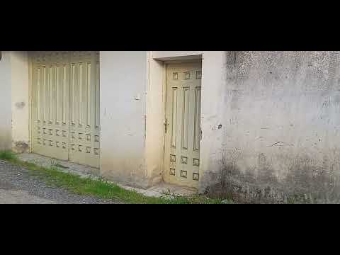 Видео: Наша Улица ВОРОШИЛОВА.