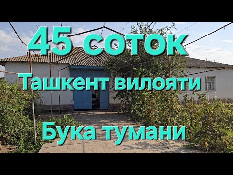 Видео: Арзон уй жой сотилади Тошкент вилояти Бука тум 