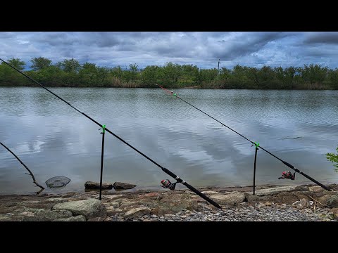 Видео: Рыбалка на ДОНКИ – Ловим Трофейную Рыбу!