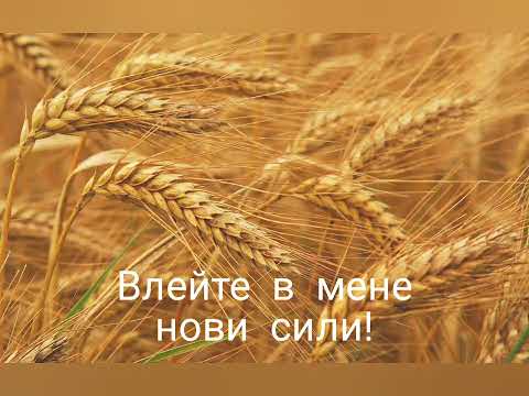 Видео: 'Жито, житце'  Марин Камбуров